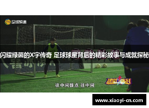 闪耀绿茵的X字传奇 足球球星背后的精彩故事与成就探秘