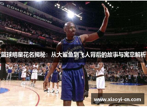 篮球明星花名揭秘：从大鲨鱼到飞人背后的故事与寓意解析